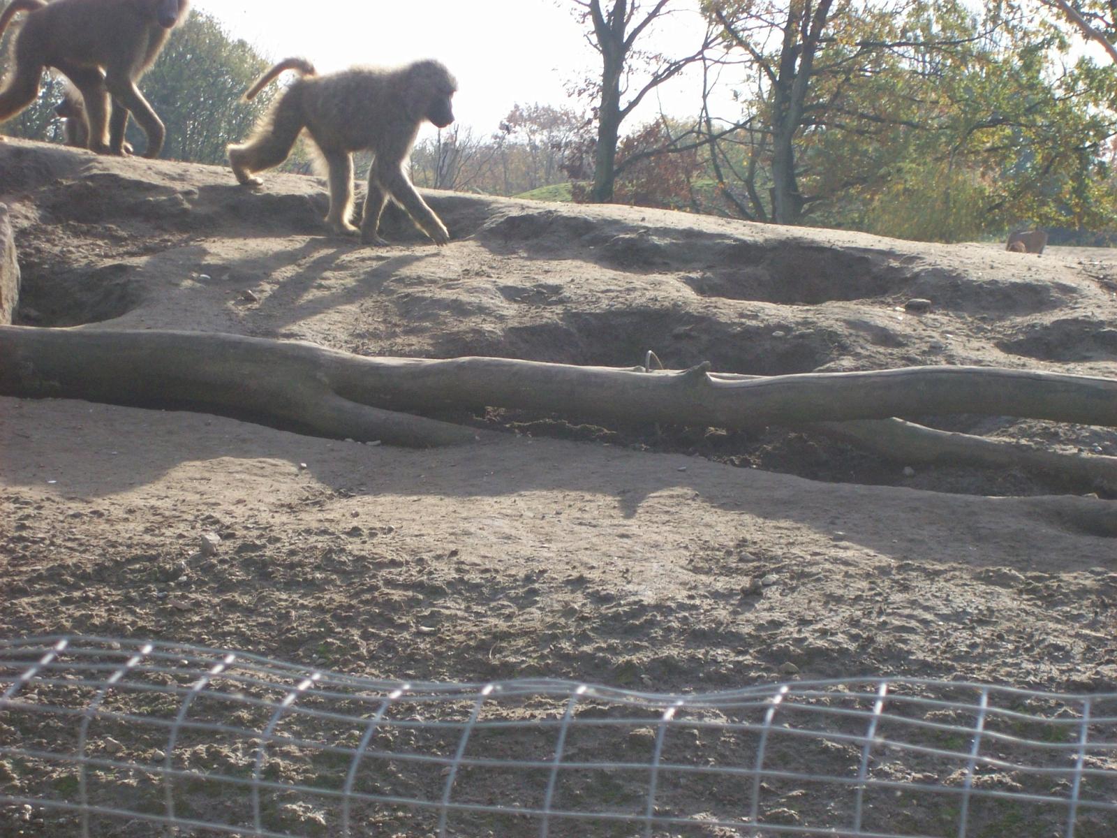Zoom 18.10.2008-129.jpg